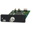 Extron HD-SDI Output Board 